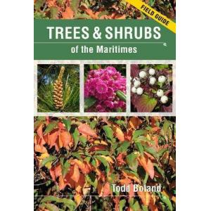 Trees and Shrubs Of The Maritimes Field Guide