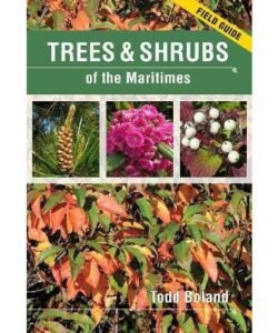 Trees and Shrubs Of The Maritimes Field Guide
