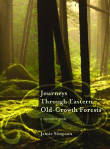 journey through eastern old growth forest