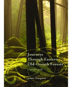 journey through eastern old growth forest