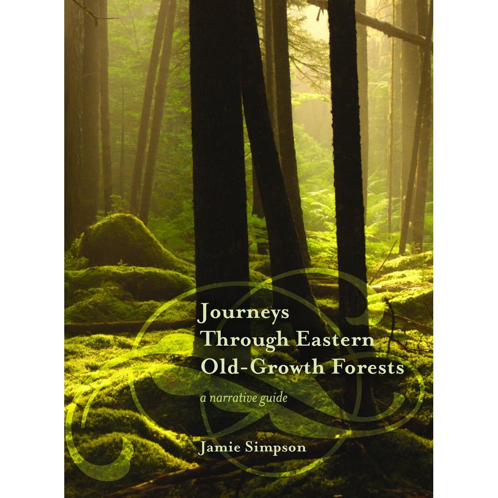 journey through eastern old growth forest