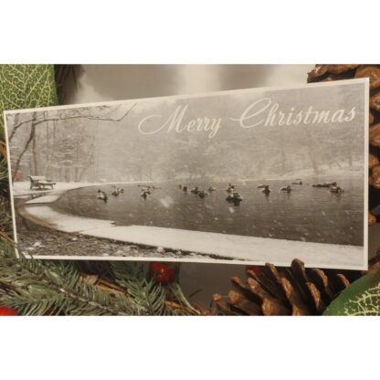 Christmas Card - Hemlock Ravine Park