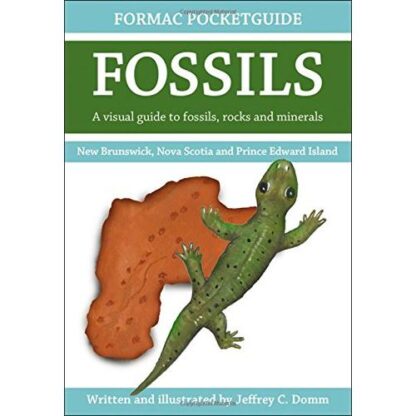 Pocket Guide to Nova Scotia Fossils