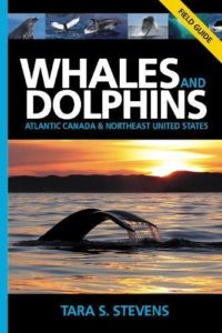 Whales and Dolphins of Atlantic Canada