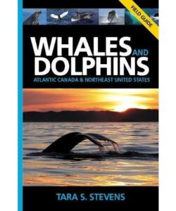 Whales and Dolphins of Atlantic Canada