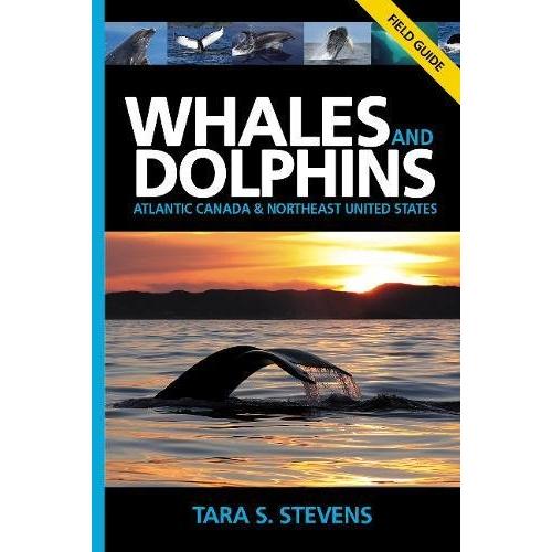 Whales and Dolphins of Atlantic Canada