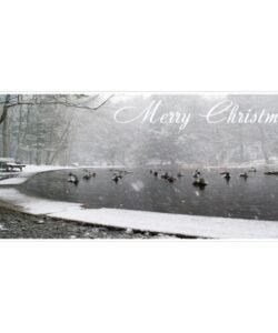 Hemlock Ravine Christmas Card