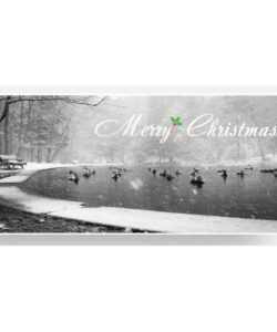 Hemlock Ravine Christmas Card
