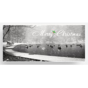 Hemlock Ravine Christmas Card