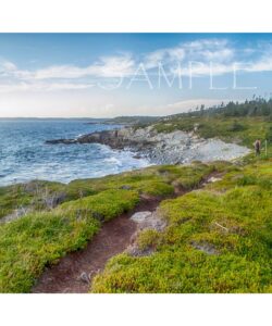 Taylor Head Provincial Park 8x10 print