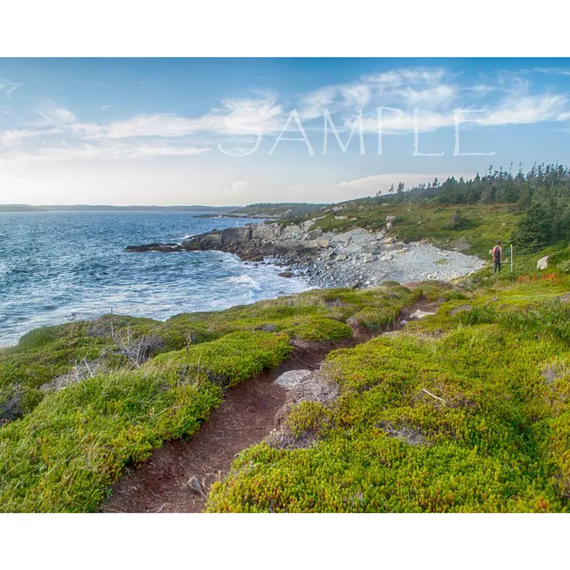 Taylor Head Provincial Park 8x10 print
