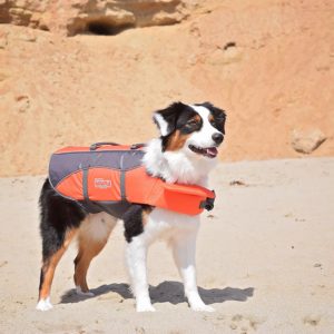 Dog Life Jacket