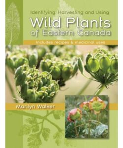 Wild Plants of Eastern Canada