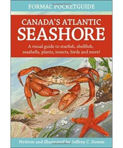 Canada's Atlantic Seashore