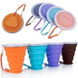 Collapsible Cup