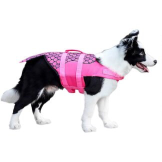 dog floatation vest