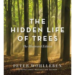 The Hidden Life Of Trees