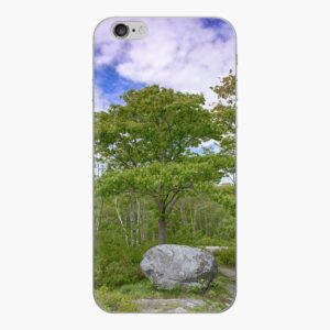 Long Lake Provincial Park - Nature Scenes - Accessories