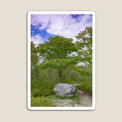 Long Lake Provincial Park - Nature Scenes - Accessories