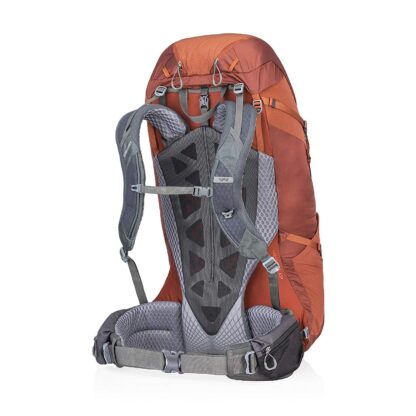 Gregory Mountain Products Baltoro 65 Liter Backpack
