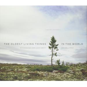 The Oldest Living Things in the World