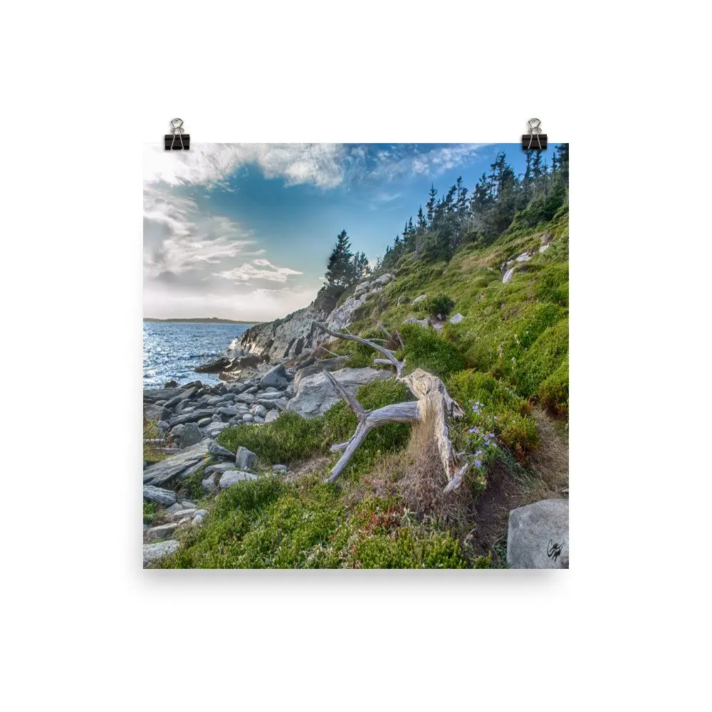 taylor head provincial park nova scotia photo print