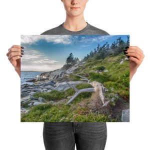 taylor head provincial park nova scotia photo print
