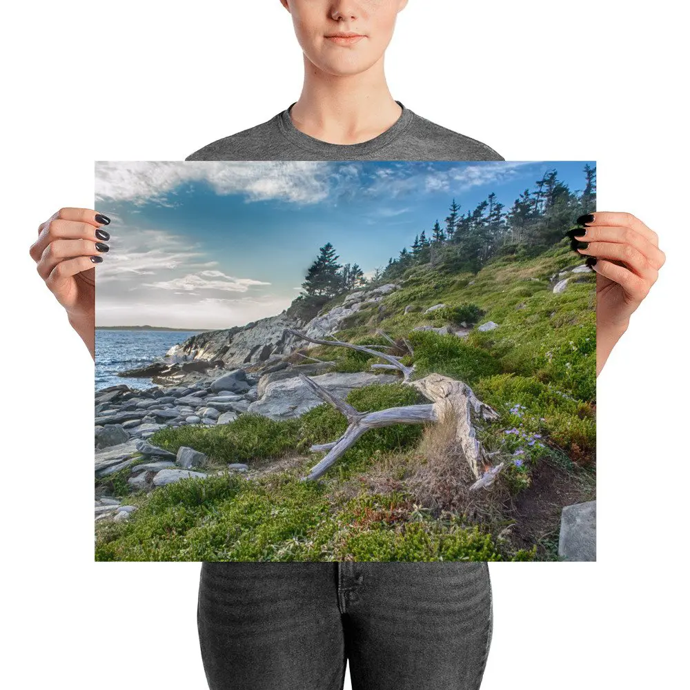 taylor head provincial park nova scotia photo print