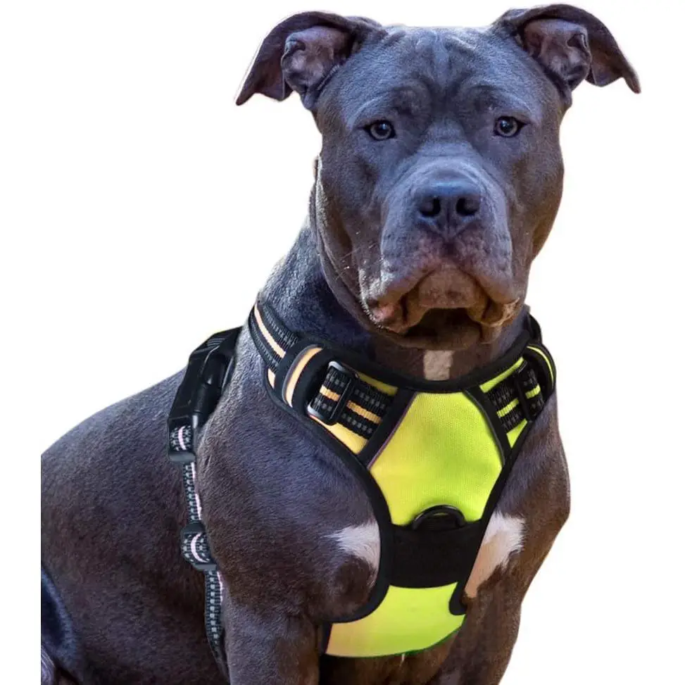 No Pull Dog Harness with Front Clip, Walking Pet Harness with 2 Metal Ring and Handle Reflective Oxford Padded Soft Vest