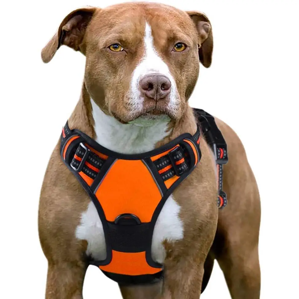 No Pull Dog Harness with Front Clip, Walking Pet Harness with 2 Metal Ring and Handle Reflective Oxford Padded Soft Vest