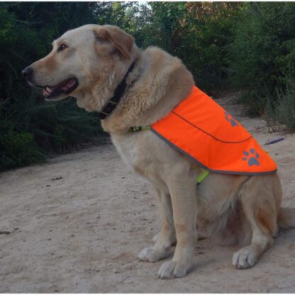 Dog Safety Reflective Vest -Hunting Waterproof Yellow or Orange Vest for Best Visibility at Day and Night with Claps, Connectors Comfortable Adjustable Size