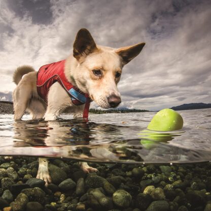 Kurgo Skipping Stones(TM) Floating Dog Fetch Toy - 2 Pack