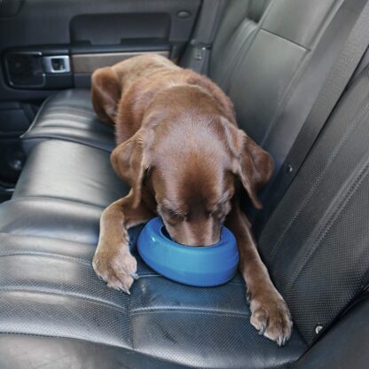 Kurgo Splash-Free Wander(TM) No-Spill Portable Water Dog Bowl and Food Pet Bowl