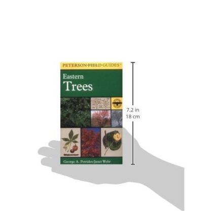 A Field Guide to Eastern Trees: Eastern United States and Canada, Including the Midwest Paperback