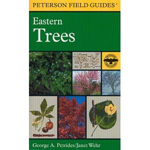 A Field Guide to Eastern Trees: Eastern United States and Canada, Including the Midwest Paperback