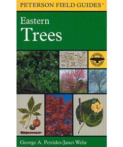 A Field Guide to Eastern Trees: Eastern United States and Canada, Including the Midwest Paperback