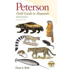 Peterson Field Guide to Mammals of North America: 4th Edition (Paperback)