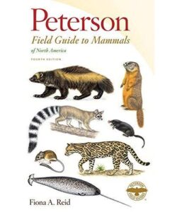 Peterson Field Guide to Mammals of North America: 4th Edition (Paperback)