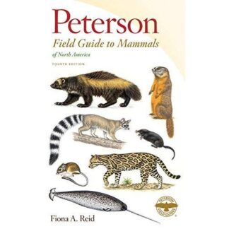 Peterson Field Guide to Mammals of North America: 4th Edition (Paperback)