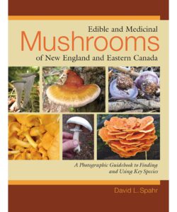 Edible and Medicinal Mushrooms of New England and Eastern Canada: A Photographic Guidebook to Finding and Using Key Species Paperback