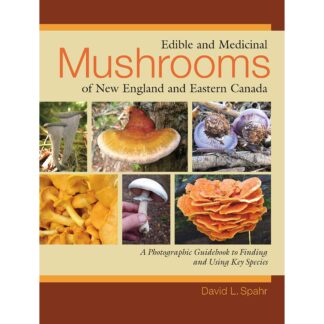 Edible and Medicinal Mushrooms of New England and Eastern Canada: A Photographic Guidebook to Finding and Using Key Species Paperback