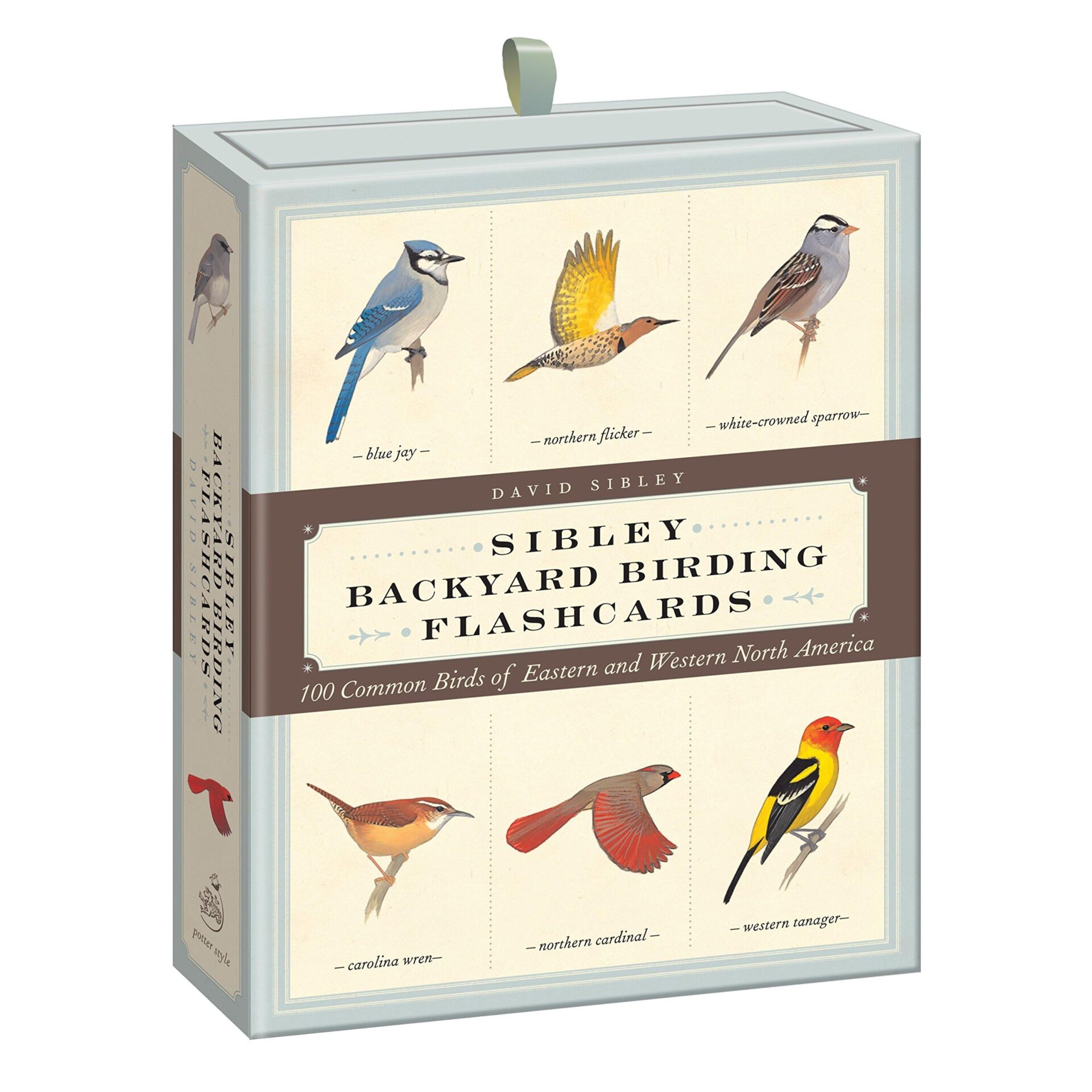 Sibley Backyard Birding Flashcards: 100 Common Birds of Eastern and Western North America