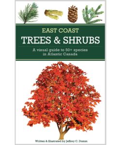 East Coast Trees & Shrubs