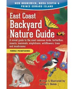 East Coast Backyard Nature Guide: A visual guide to the most common birds, butterflies, insects, mammals, amphibians, wildflowers, trees and mushrooms