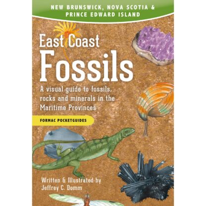 East Coast Fossils: A visual guide to fossils, rocks and minerals in the Maritime Provinces