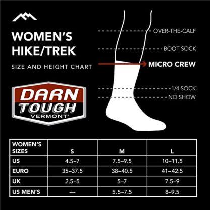 Darn Tough Micro Crew Midweight Socks (Women's)