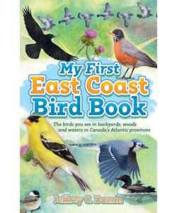 My First East Coast Bird Book: The birds you see in back yards, woods, and waters in Canada's Atlantic provinces