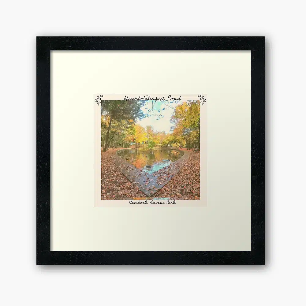 Exclusive Nova Scotia Prints & Artwork from Parks, Hiking Trails & Nature Areas