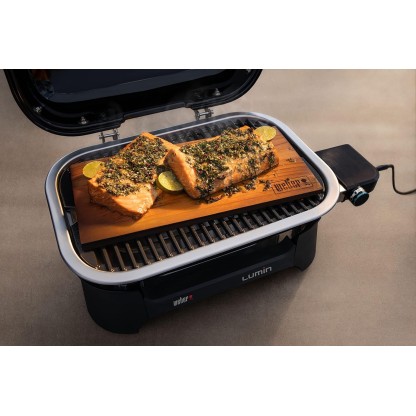 Weber Lumin Compact Electric Grill