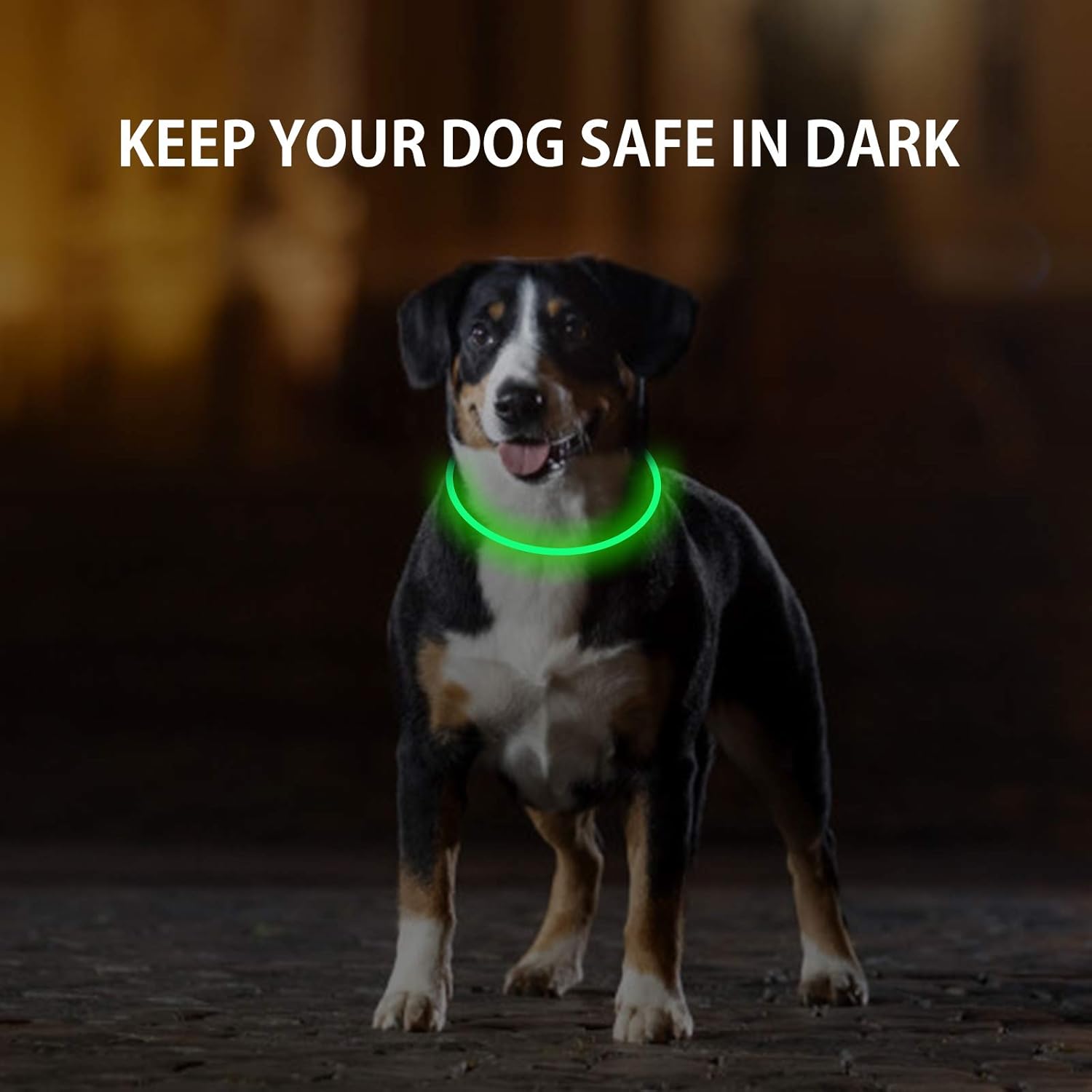 2-Pack LED Dog Collar, Light Up Dog Collars,Rechargeable Dog Lights for Night Walking